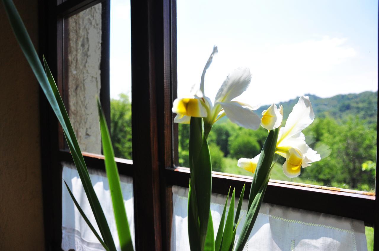 Agriturismo La Costa - Casa Vacanze Rovagnate エクステリア 写真