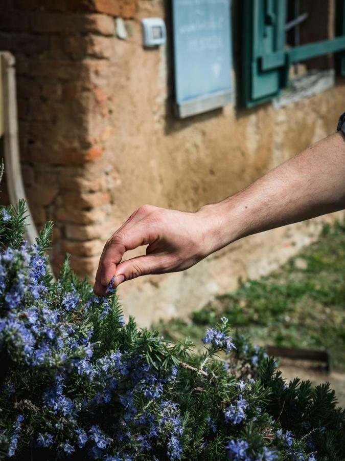 Agriturismo La Costa - Casa Vacanze Rovagnate エクステリア 写真